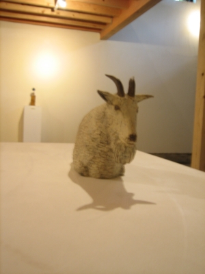 �N���k�}�^�J�g�V