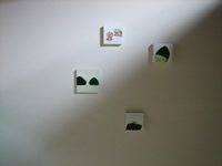 �Ό������q