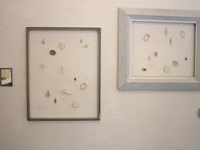 �������q